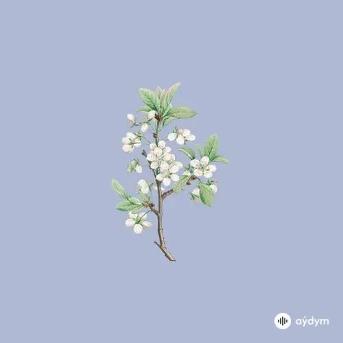 Kakizaki Yuta - Lepido