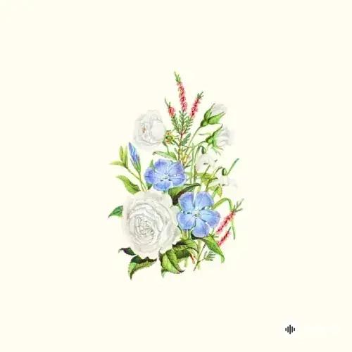 Etude Of Clair