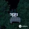The Army, The Navy - Becky