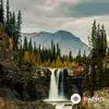 Rest & Relax Nature Sounds Artists - Gentle Winds