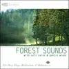 Rest & Relax Nature Sounds Artists - Gentle Winds