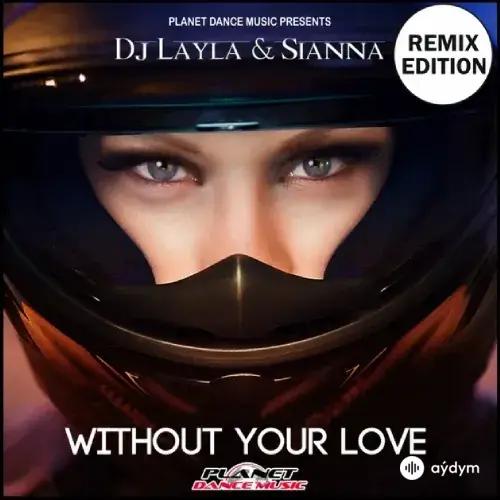 Without Your Love (Remix Editin)