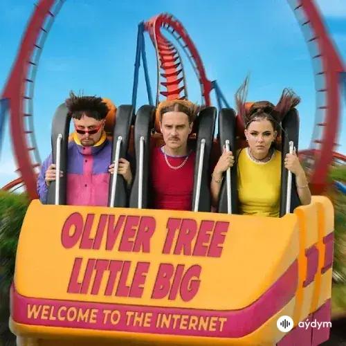 Welcome To The Internet