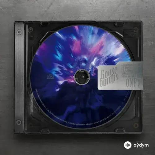 6th Mini Album (Goosebumps)