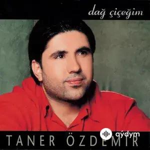Dağ Çiçeğim