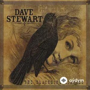 The Blackbird Diaries