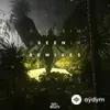 Anikdote -The FifthGuys-Veronica  Bravo-Ponzoo - Seen [Ponzoo Remix]