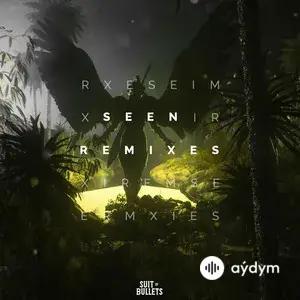 Seen (Remixes)