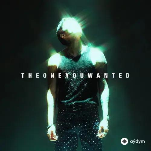 The One You Wanted