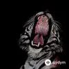 Bombby-DJ Javi26  - Overlook