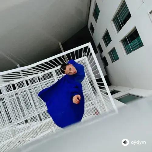 SOFIIA - Falling