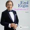 Erol Evgin  - Kar