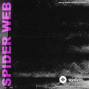 Spider Web