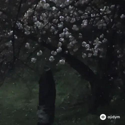 Clams Casino - Nights Like This PT 2 (Ambient Demo Version)