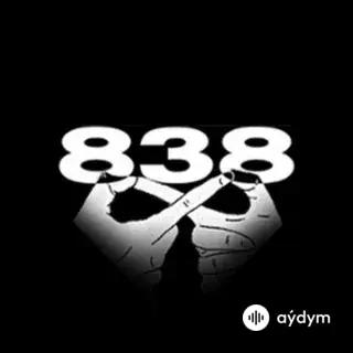 838 Vision