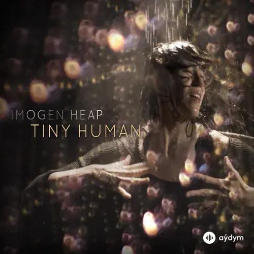 Imogen Heap - Tiny Human - Instrumental