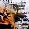Timbaland-Magoo - Straight Outta Virginia (Intro)
