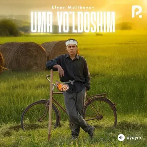 Umr yo'ldoshim
