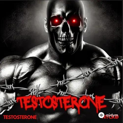 NyckØ -N¥CKØ - Testosterone (Ultra Slowed)