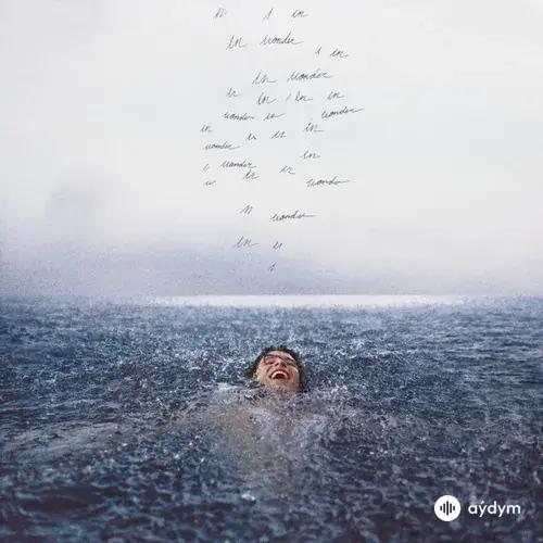 Shawn Mendes - Teach Me How To Love