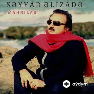 Səyyad Əlizadə - Ayrılmaram