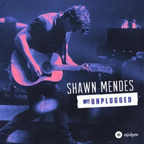 Shawn Mendes - Stitches - MTV Unplugged