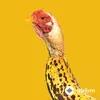 Crazy Music Channel - Chicken Banana