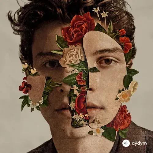Shawn Mendes - Nervous