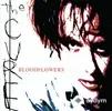 The Cure  - Out Of This World