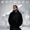 Nechaev - Холодно