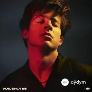 Voicenotes