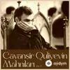 Cavanşir Quliyev - Bir Yarpaq Da Vətəndir