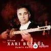 Ramiz Guliyev - Ay Laçın Aman Ovçu