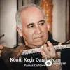 Ramiz Guliyev - Bakı