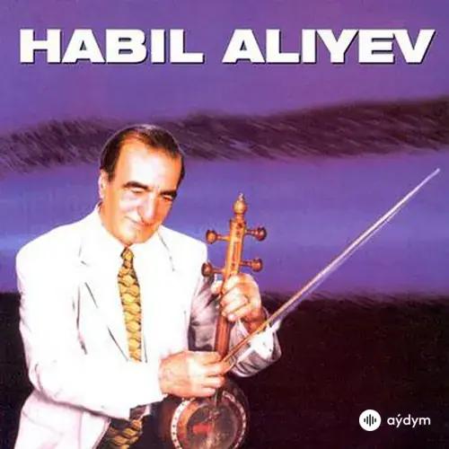 Habil Aliyev