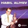 Habil Aliyev - Segah
