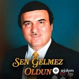 Sen Gelmez Oldun