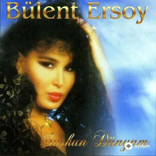 Suskun Dünyam