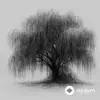 Willow  - Like A Bird