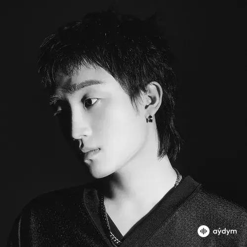 D.Ark