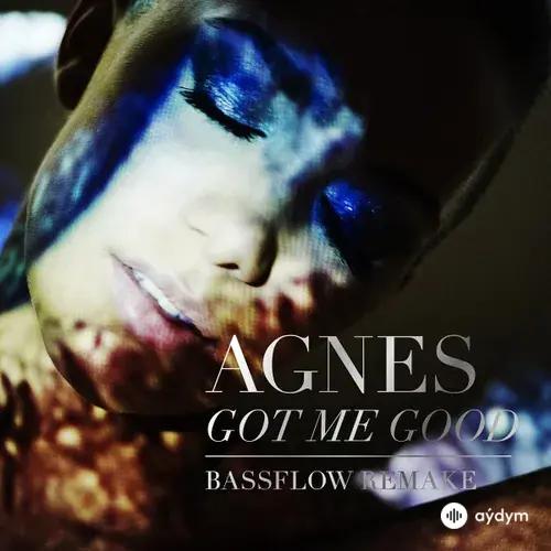 Bassflow