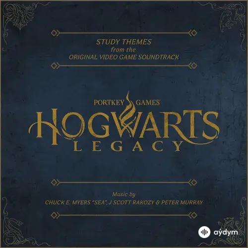 J Scott Rakozy-Hogwarts Legacy - Sorting Hat Ceremony