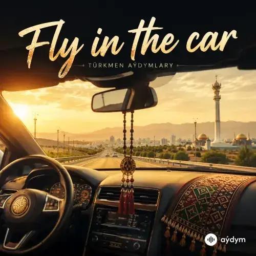 Fly in the car