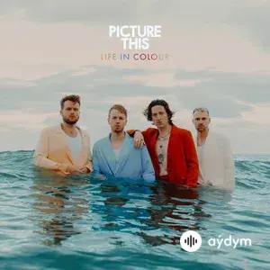 Life In Colour