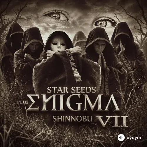 The Enigma VII (Star Seeds)