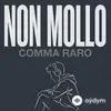 COMMA RARO - Il pane