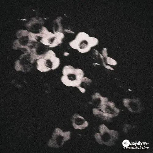 Perdenin Ardındakiler  - Gönlüme Hükmedemem