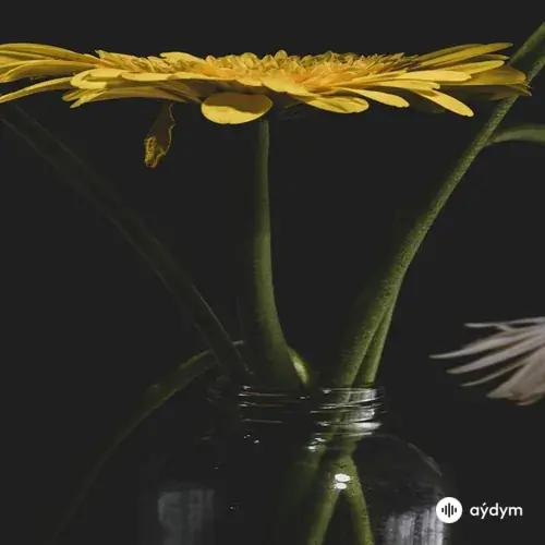Ayhan Taşar - Ahitli serenatlar " Olur ya duyarsan âyin yaparsın