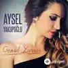 Aysel Yakupoğlu - Sen Gittin Ya