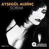 Ayşegül  Aldinç - Oldum Olası
